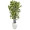 5ft. Bamboo Tree with Black Trunks in Decorative White Planter
